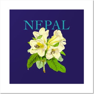 Nepal Botanical Illustration Posters and Art